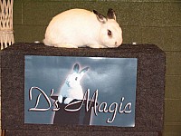 2008 PackMeetingApril-003.jpg